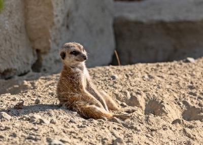 Toni-zoo-2-von-38.jpg Toni-zoo-2-von-38.jpg