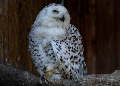 Zoo-Toni-43-von-64.jpg Zoo-Toni-43-von-64.jpg