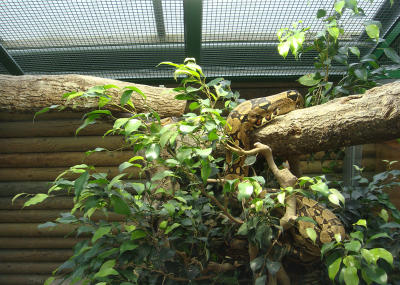 DSC01401.jpg DSC01401.jpg