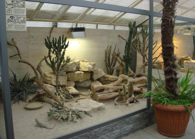 amphibien_anlage-1.jpg amphibien_anlage-1.jpg