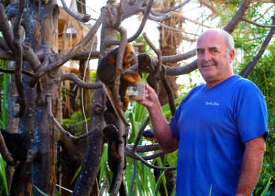 Diverses-9.jpg Diverses-9.jpg